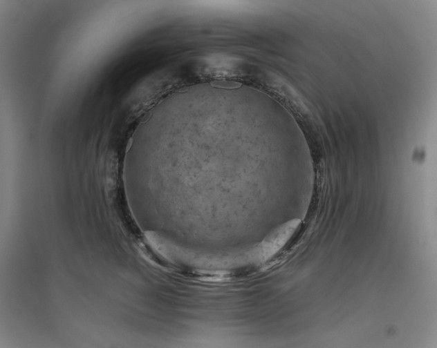 X0000094800760200711161458