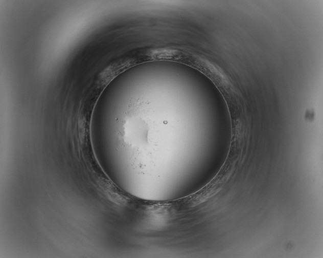 X0000094800761200711161458