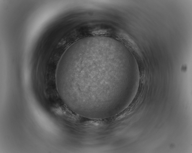 X0000094800763200711161458