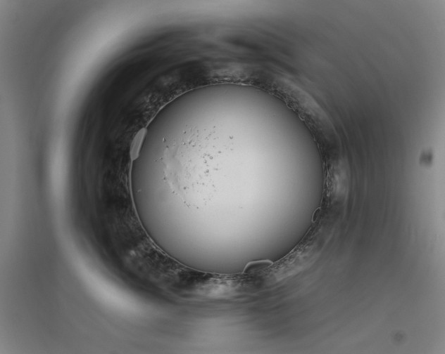 X0000094800764200711161458