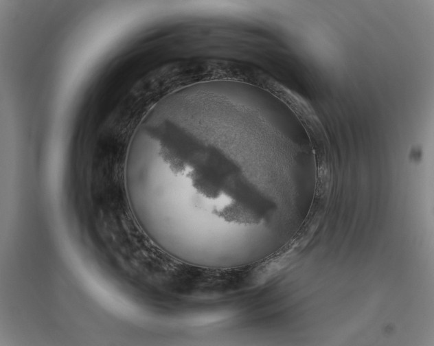 X0000094800765200711161458