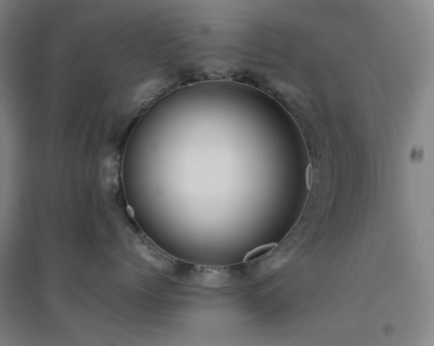 X0000094800768200711161458