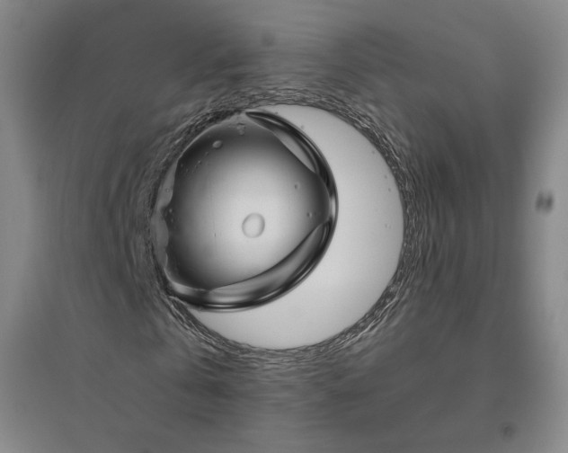 X0000094800769200711161457