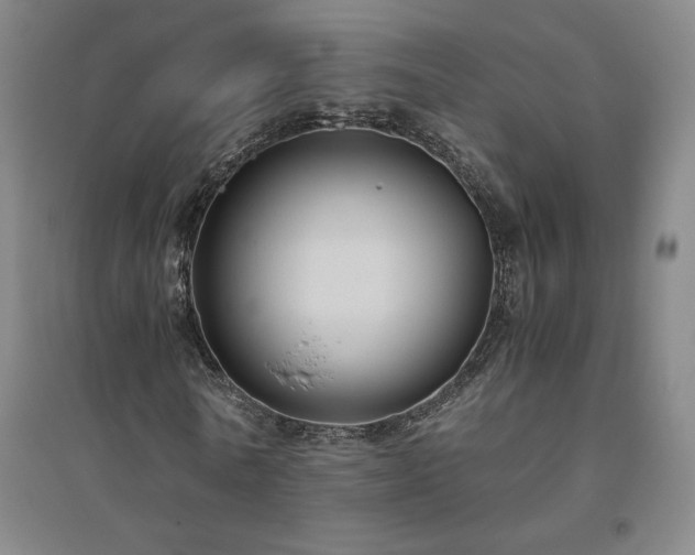 X0000094800770200711161457