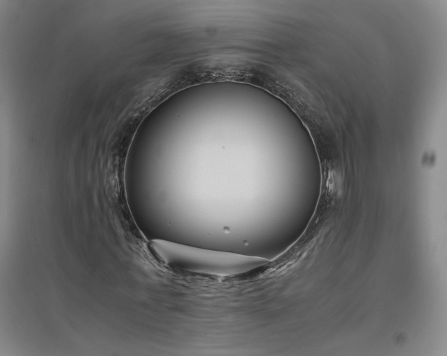 X0000094800771200711161457