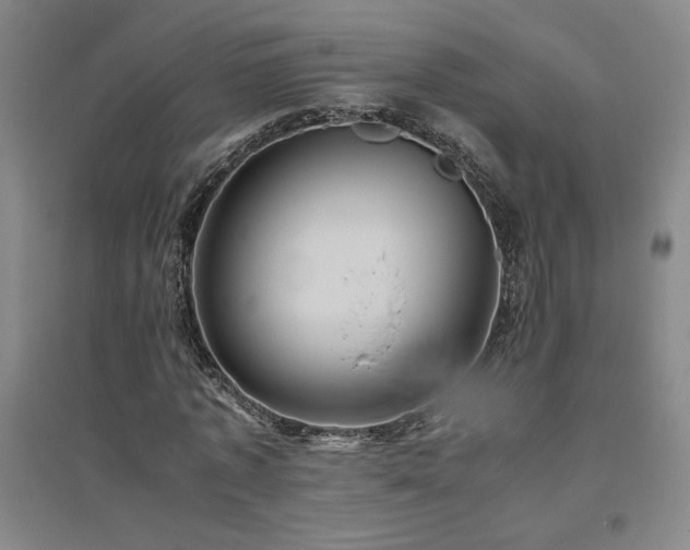 X0000094800773200711161457
