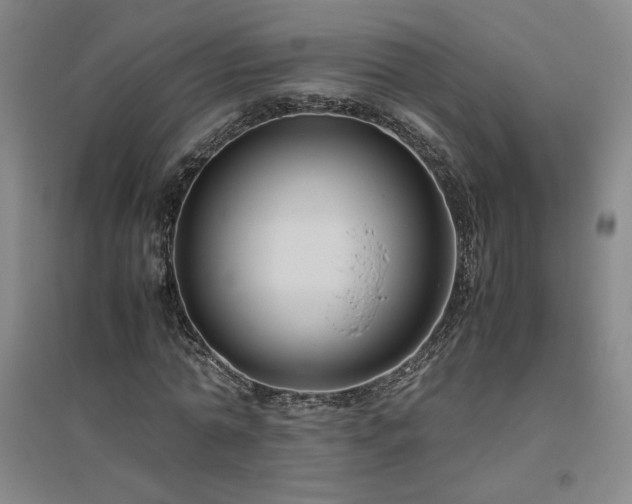 X0000094800774200711161457