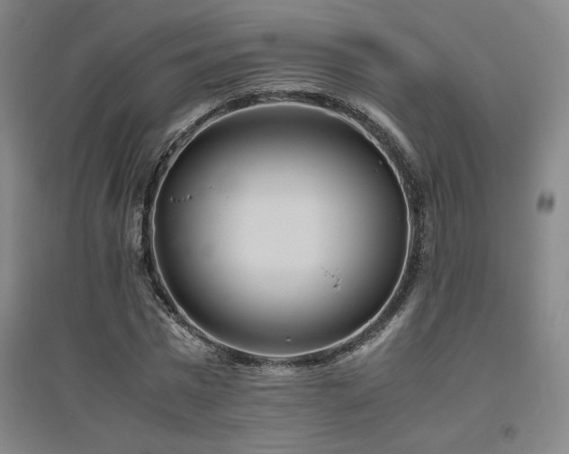 X0000094800777200711161457
