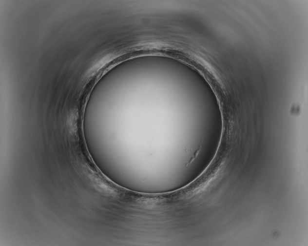 X0000094800778200711161457