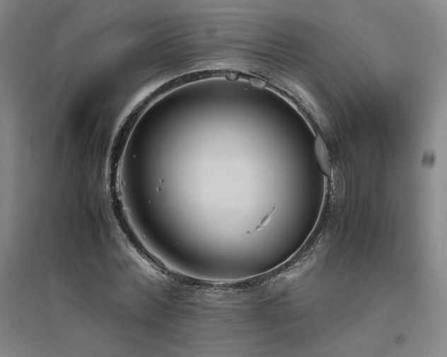 X0000094800780200711161457