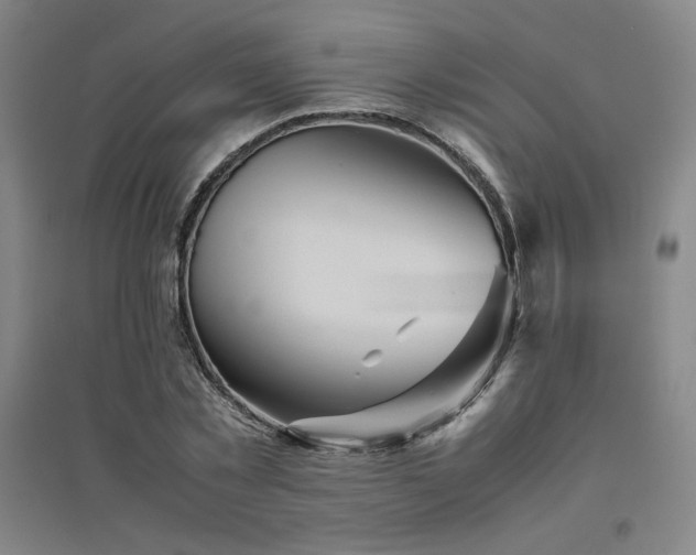 X0000094800781200711161457
