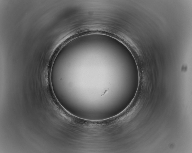 X0000094800782200711161457