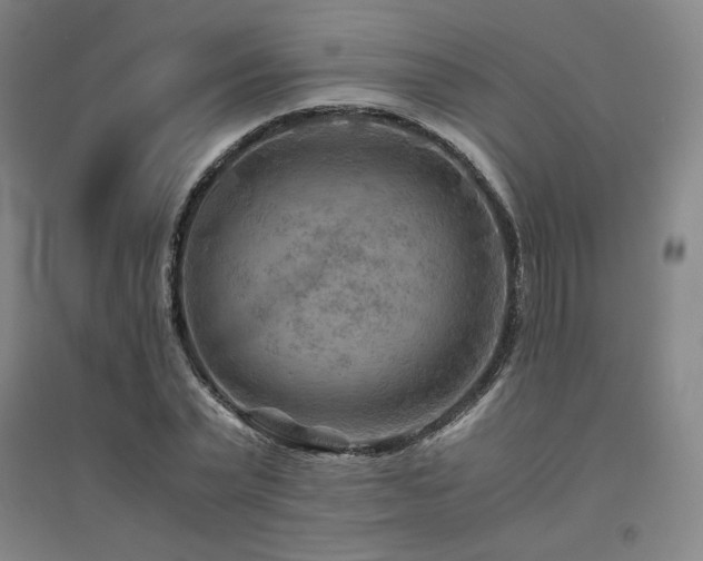 X0000094800783200711161457