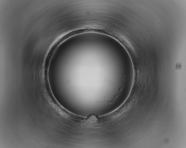 X0000094800784200711161457