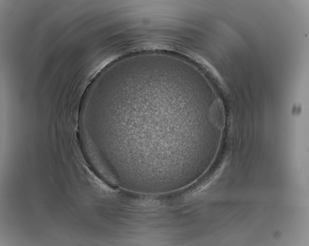 X0000094800785200711161457