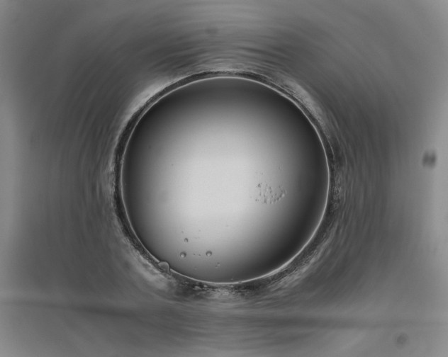 X0000094800787200711161457
