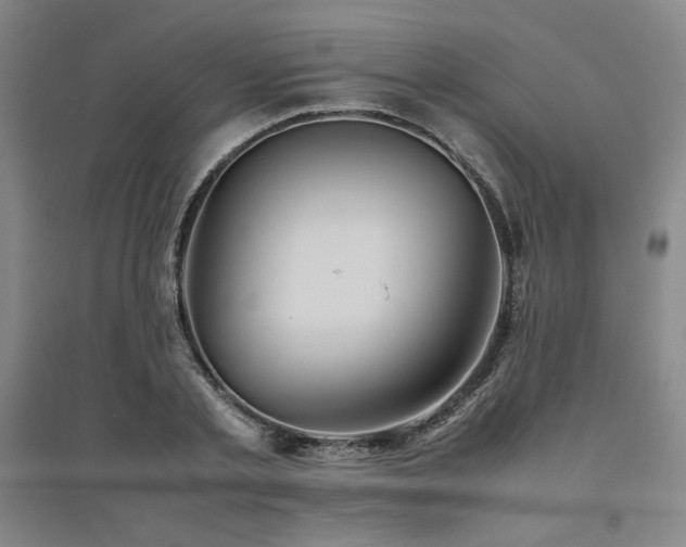X0000094800789200711161457
