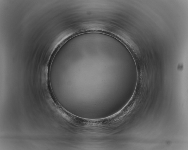 X0000094800790200711161457