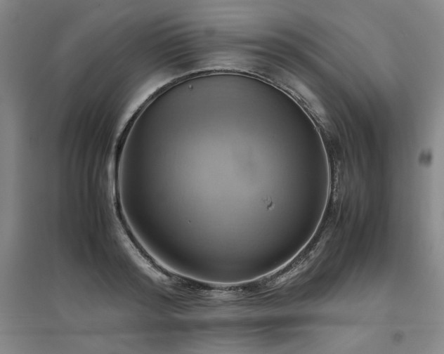 X0000094800796200711161457