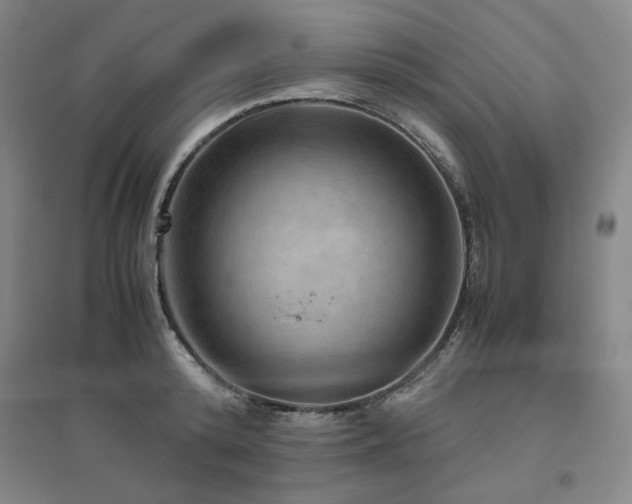 X0000094800800200711161457