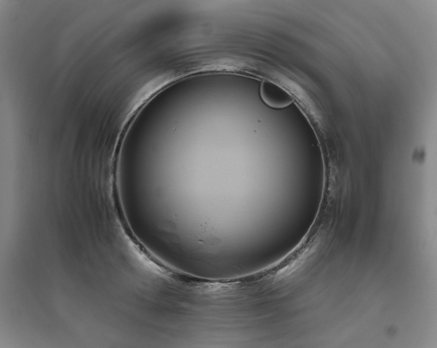 X0000094800802200711161456