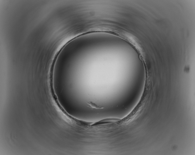 X0000094800803200711161456