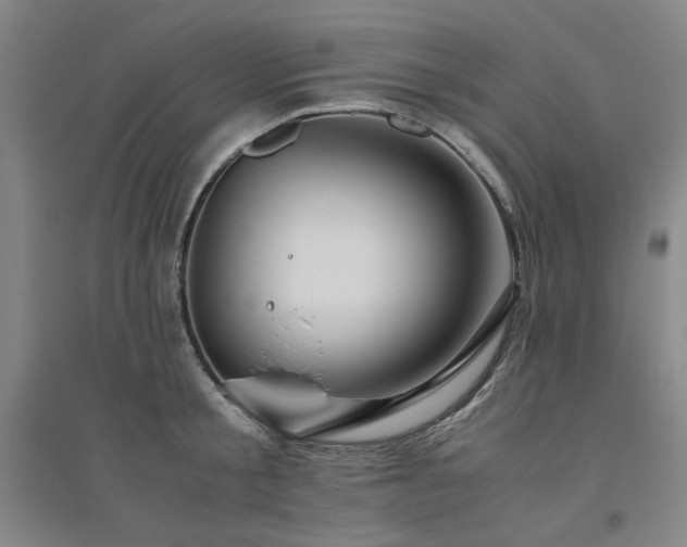 X0000094800805200711161456