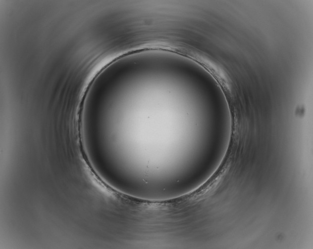 X0000094800808200711161456