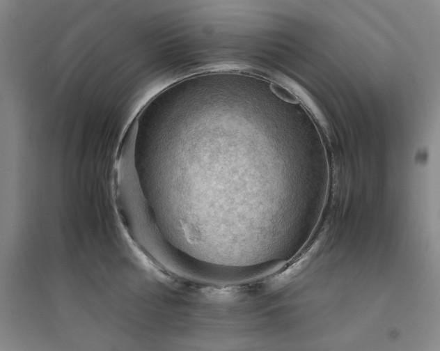 X0000094800810200711161456