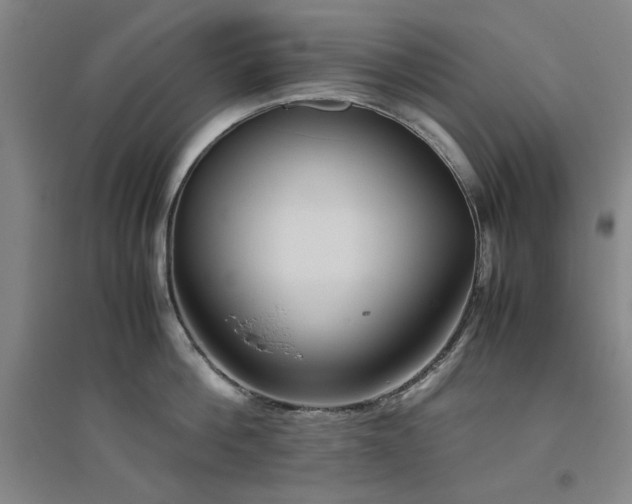 X0000094800812200711161456