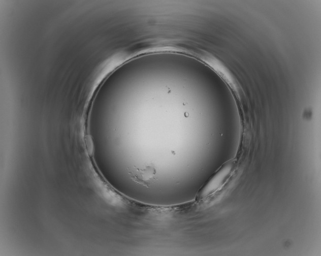 X0000094800813200711161456