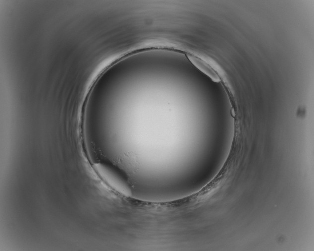 X0000094800815200711161456