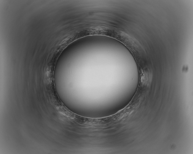 X0000094800819200711161456