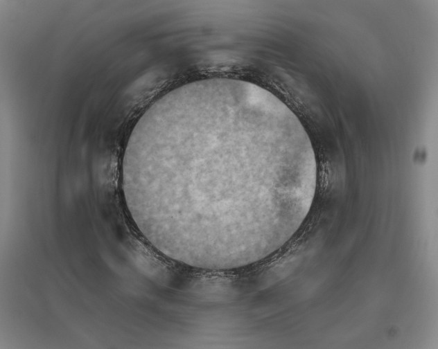 X0000094800820200711161456