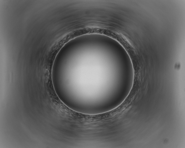 X0000094800821200711161456