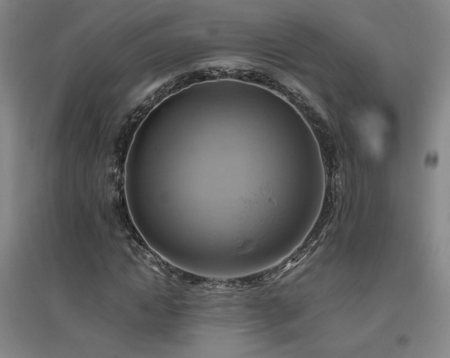 X0000094800822200711161456