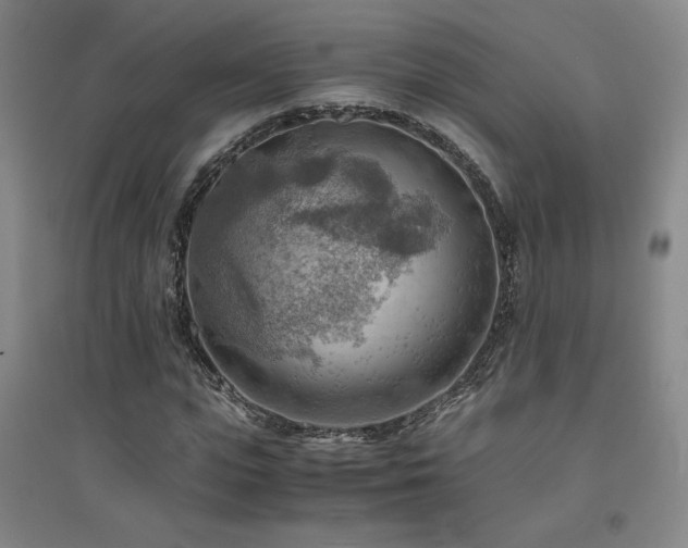 X0000094800823200711161456