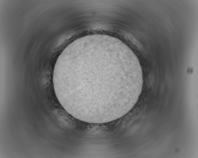 X0000094800824200711161456