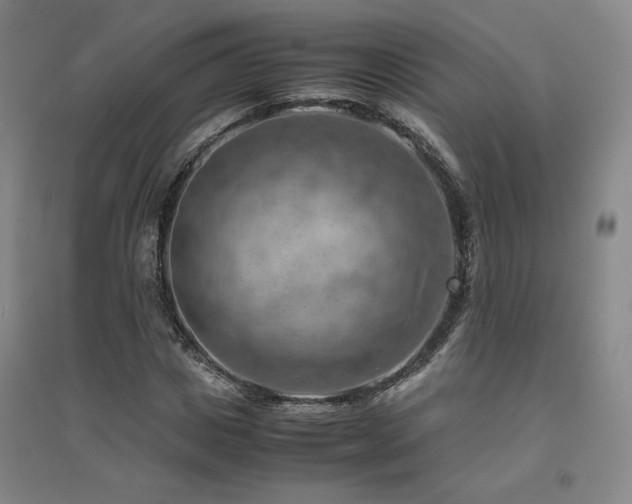 X0000094800825200711161456
