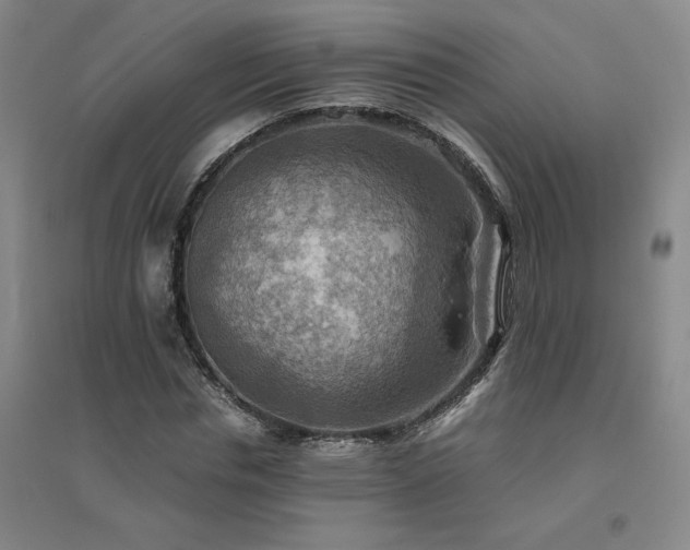 X0000094800826200711161456