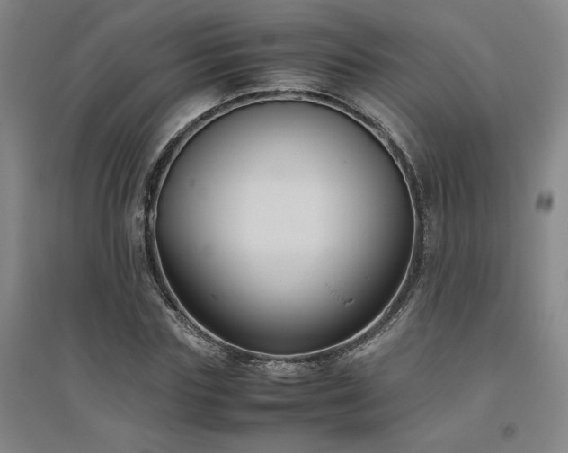 X0000094800827200711161456