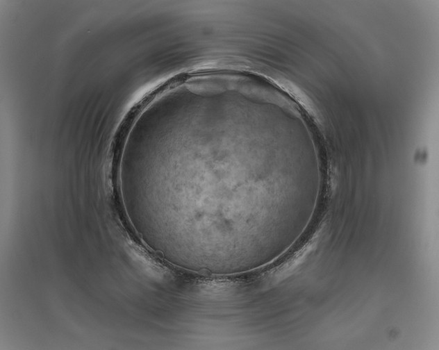 X0000094800830200711161456
