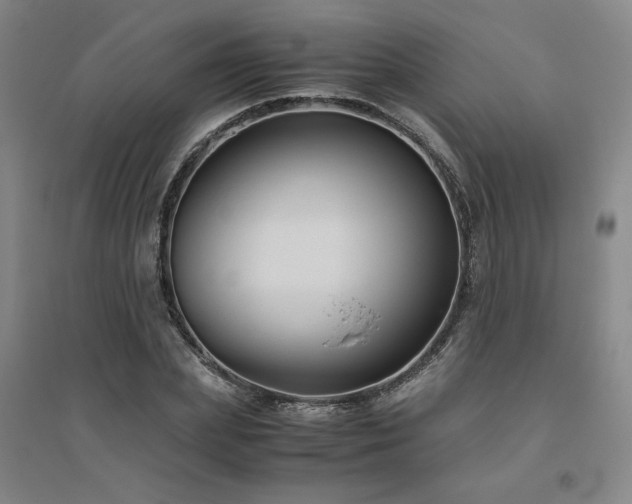 X0000094800831200711161456