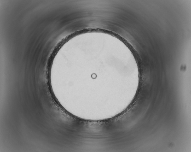 X0000094800832200711161456