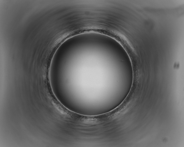X0000094800833200711161456