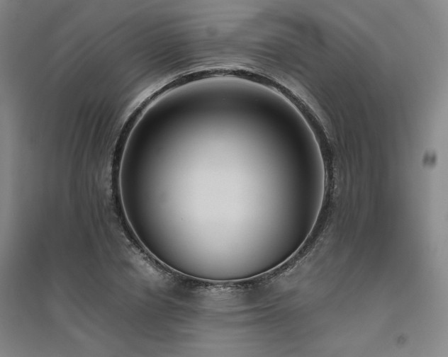 X0000094800834200711161456