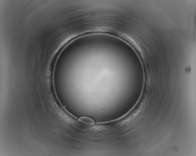 X0000094800835200711161456
