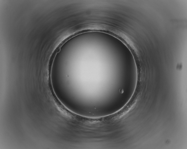 X0000094800837200711161456