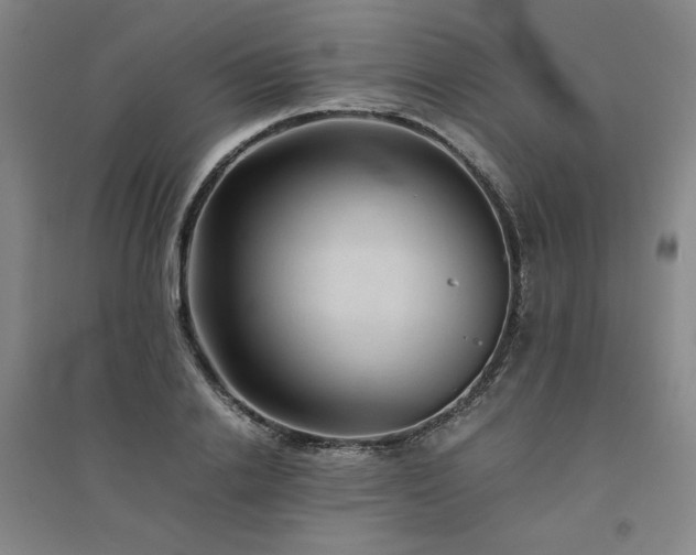 X0000094800838200711161456