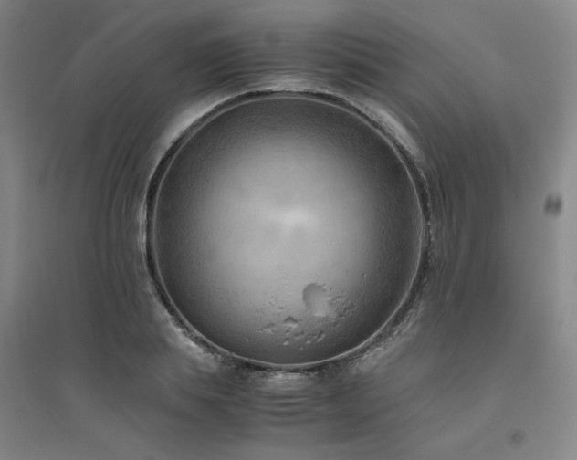 X0000094800839200711161456